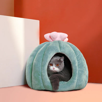 cat caves