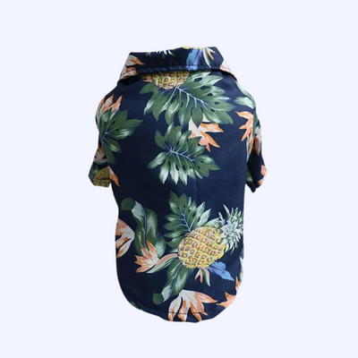 clothes