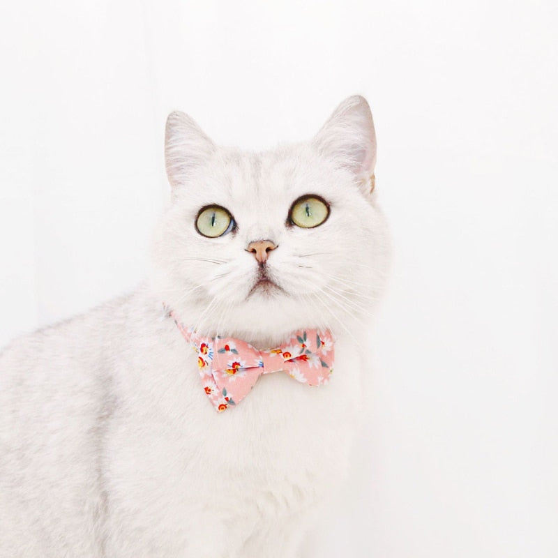 Pink Flower Collar