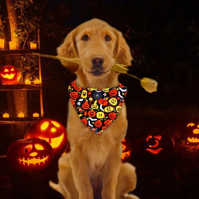 Ferry Halloween Bandana