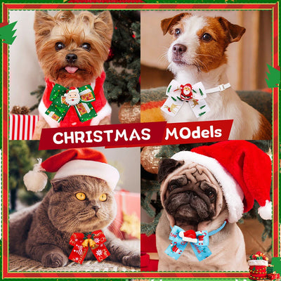 Frexa Christmas Collar