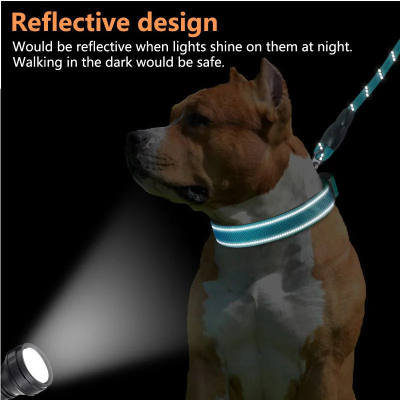 Black Reflective Collar