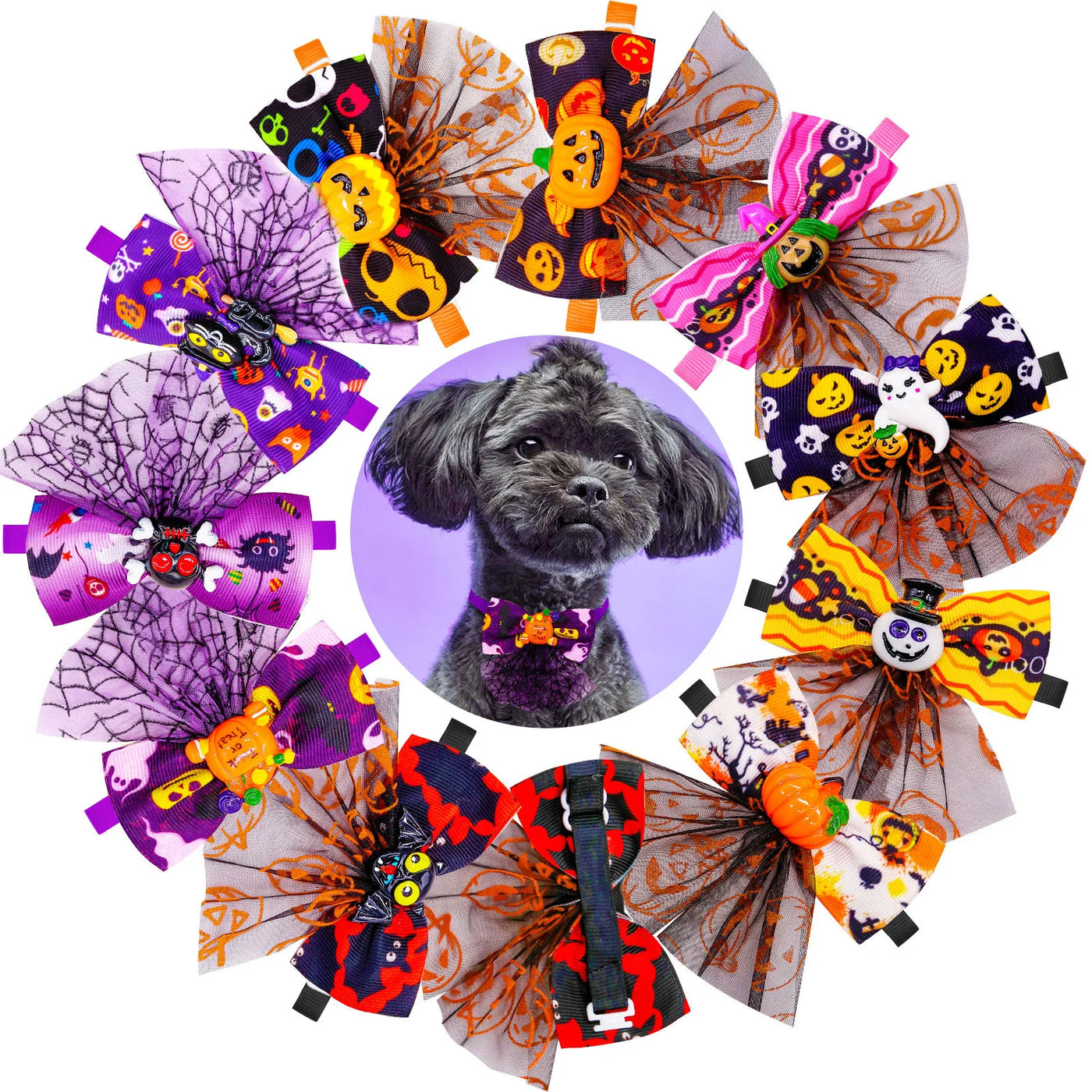 Punial Halloween Collar
