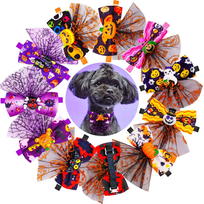 Granny Halloween Collar
