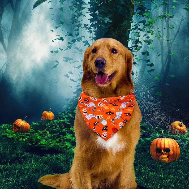 Eloy Halloween Bandana