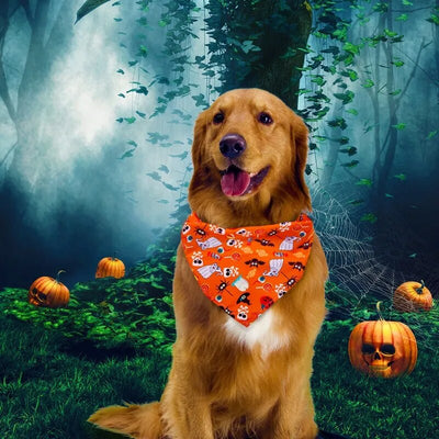 Eloy Halloween Bandana