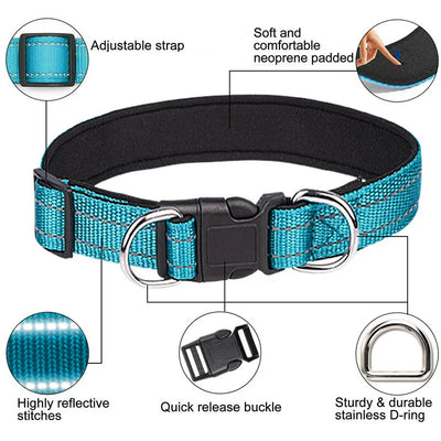 Blue Reflective Collar