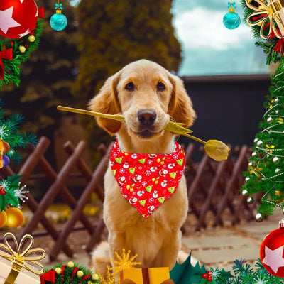 Pupan Christmas Bandana