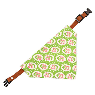 Pistachio Bandana